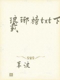 琅琊榜txt下载封面