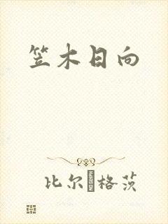 笠木日向封面