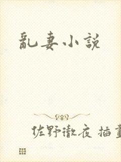 乱妻小说封面