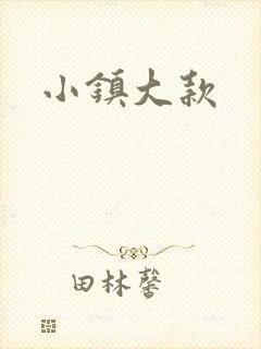 小镇大款封面