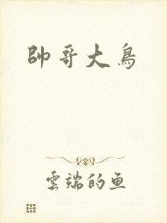 帅哥大鸟