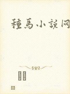 种马小说网