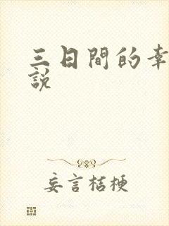 三日间的幸福小说