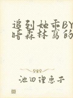 追到她乖BY黑暗森林写的小说