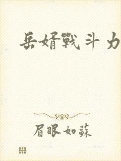 岳婿战斗力