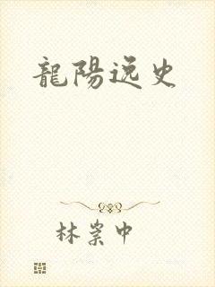 龙阳逸史封面
