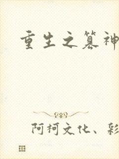 重生之篡神封面