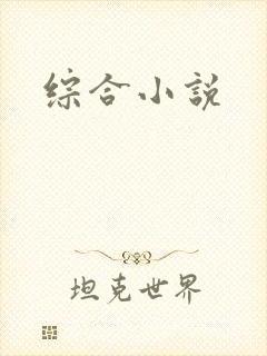 综合小说封面