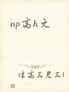 np高h文