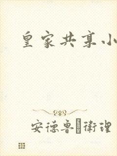 皇家共享小公主封面