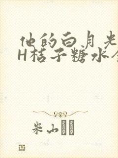 他的白月光HVH桔子糖水全文