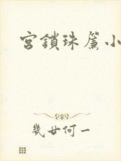 宫锁珠帘小说