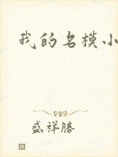我的名模小娇妻
