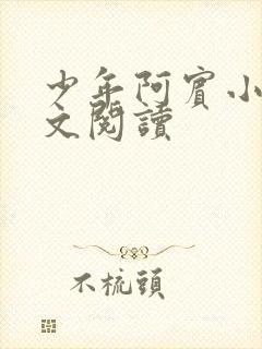 少年阿宾小说全文阅读