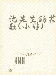 沈先生的花式调数(小非)