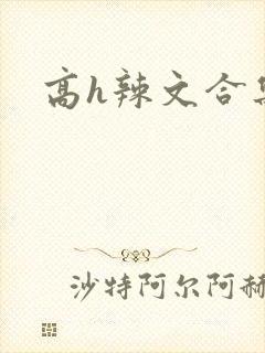 高h辣文合集