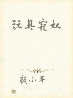 玩具宠奴