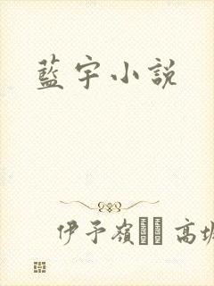 蓝宇小说