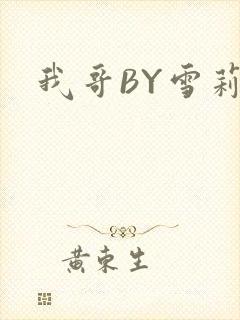 我哥BY雪莉封面