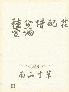 种公借配花间一壶酒