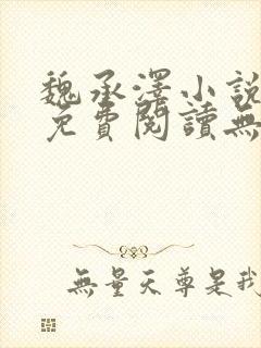 魏承泽小说全文免费阅读无弹窗笔趣封面