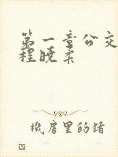 第一章公交激战程晓柔