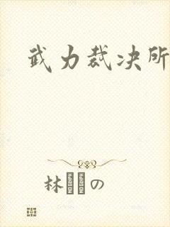 武力裁决所