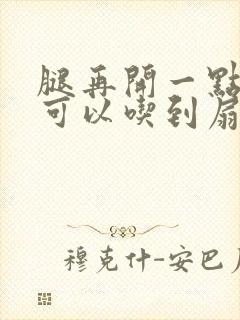 腿再开一点我就可以吃到扇贝了封面