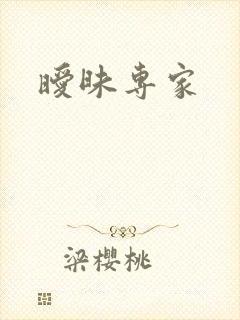 暧昧专家封面