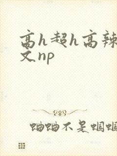 高h超h高辣h文np封面