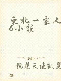 东北一家人1一6小说