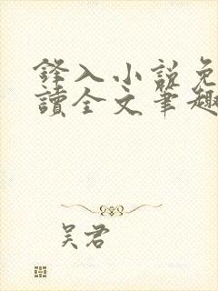 锋入小说免费阅读全文笔趣阁封面