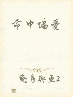 命中偏爱