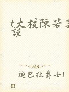 t大校陈若芸小说