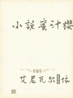 小说蜜汁樱桃封面
