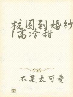 校园到婚纱1V1高冷甜