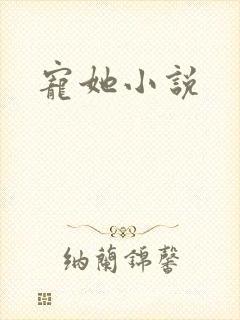 宠她小说