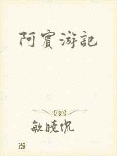 阿宾游记