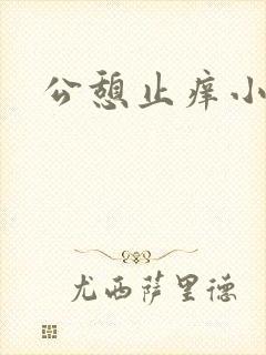 公憩止痒小说封面