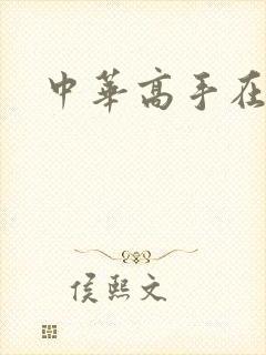 中华高手在异世封面