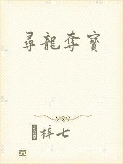 寻龙夺宝