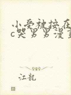 小受被按在墙上c哭男男漫画封面
