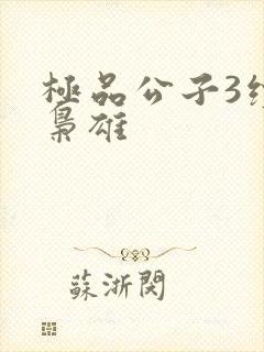 极品公子3续世枭雄