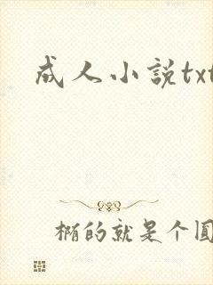 成人小说txt