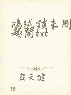 鹅绒锁未删除笔趣阁txt