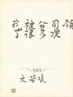 我被公司领导C了很多次