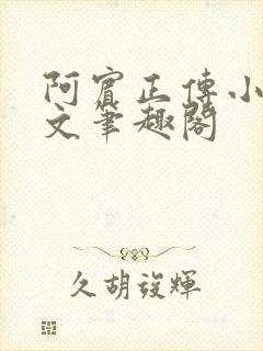 阿宾正传小说全文笔趣阁