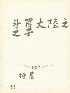 斗罗大陆之七怪之子封面