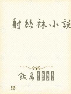 射丝袜小说