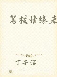 驾校情缘老赵